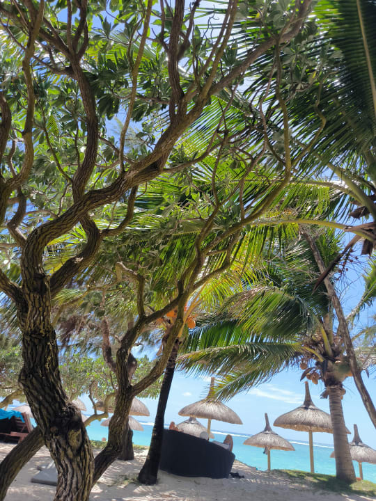 Strand Crystals Beach Resort Belle Mare, a member of Radisson Individuals