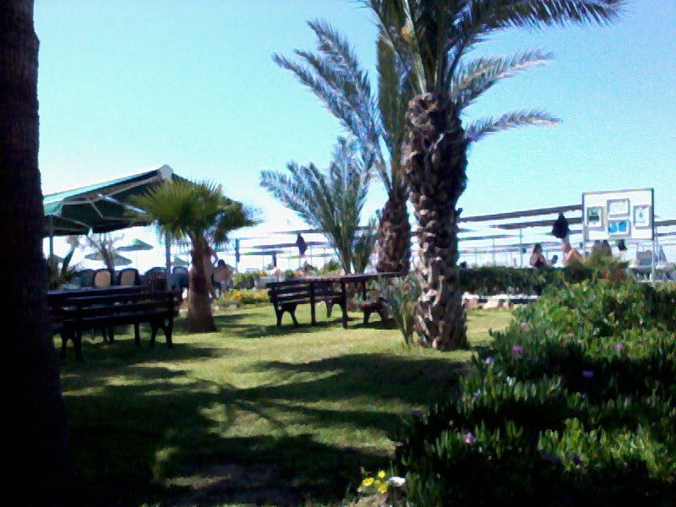 Ogrów Kırbıyık Resort Hotel - Alanya