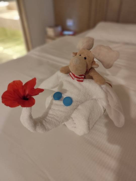 Zimmer Amarina Abu Soma Resort & Aquapark