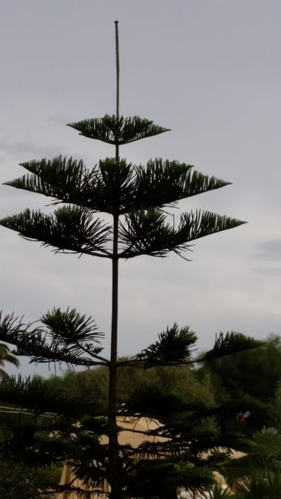Richtung Meer TUI MAGIC LIFE Africana