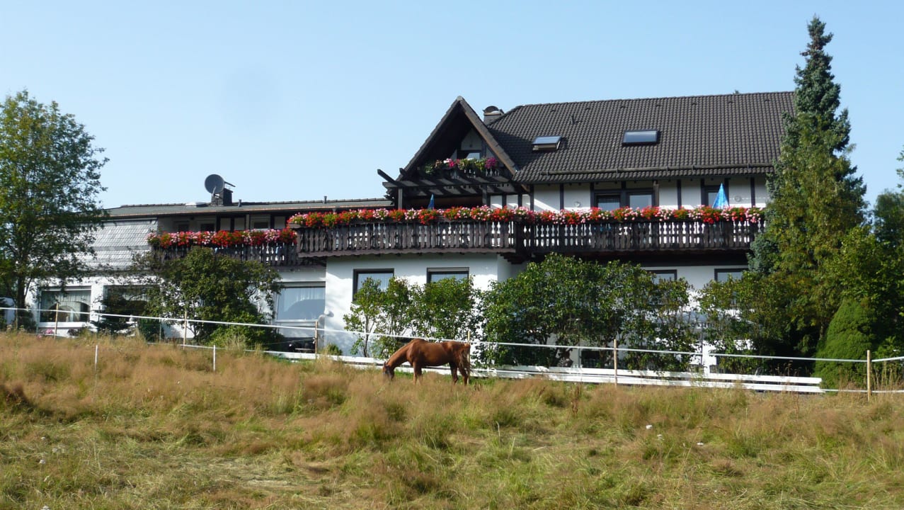 Rückseite mit Garten Hotel Pension Zur schönen Aussicht