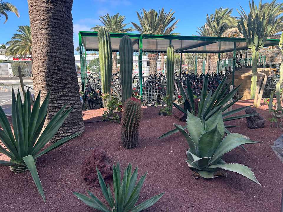 Außenansicht allsun App.-Hotel Albatros