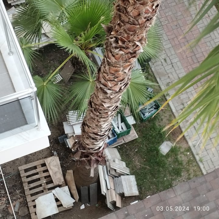 Zimmer Seaden Sea World Resort & Spa