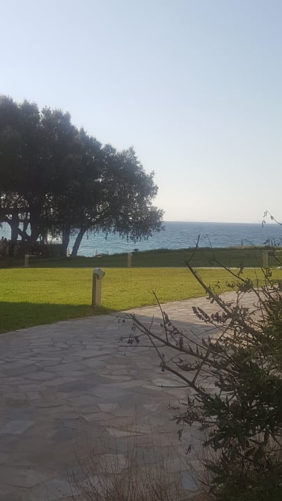Gartenanlage Neptune Luxury Resort
