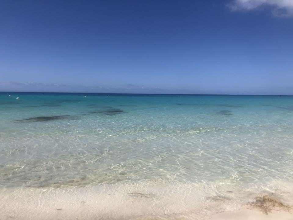 Strand Hotel Riu Palace La Mola