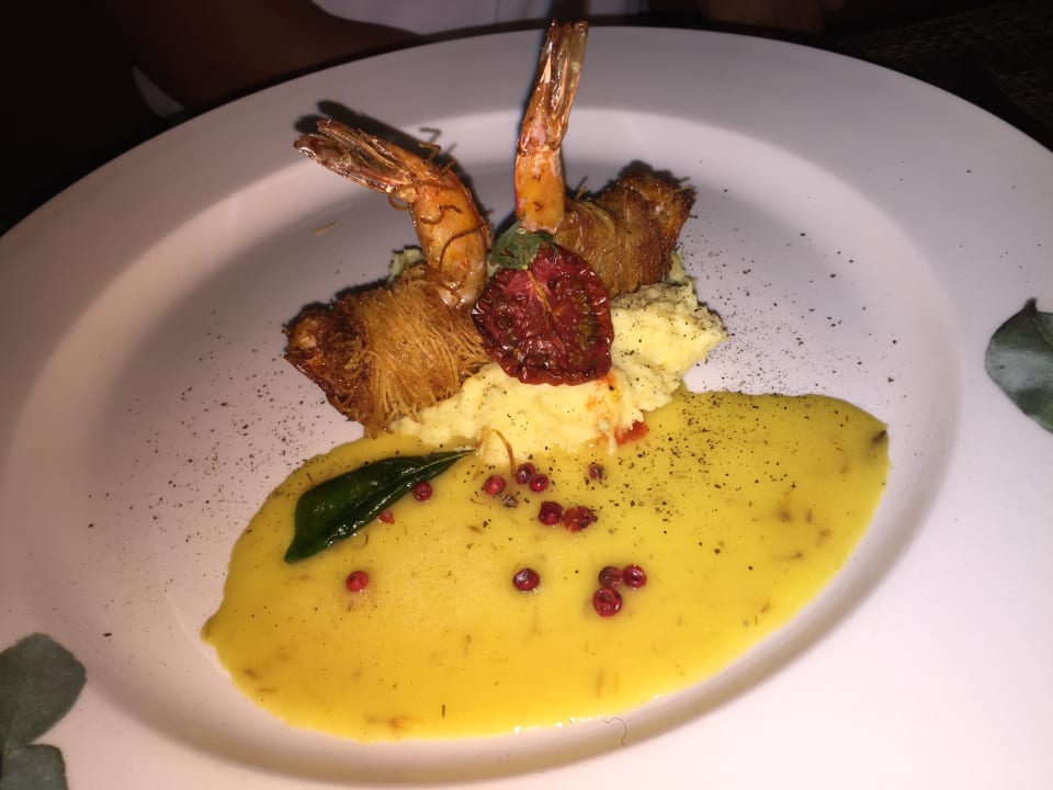 Gastro Acanthus Cennet Barut Collection