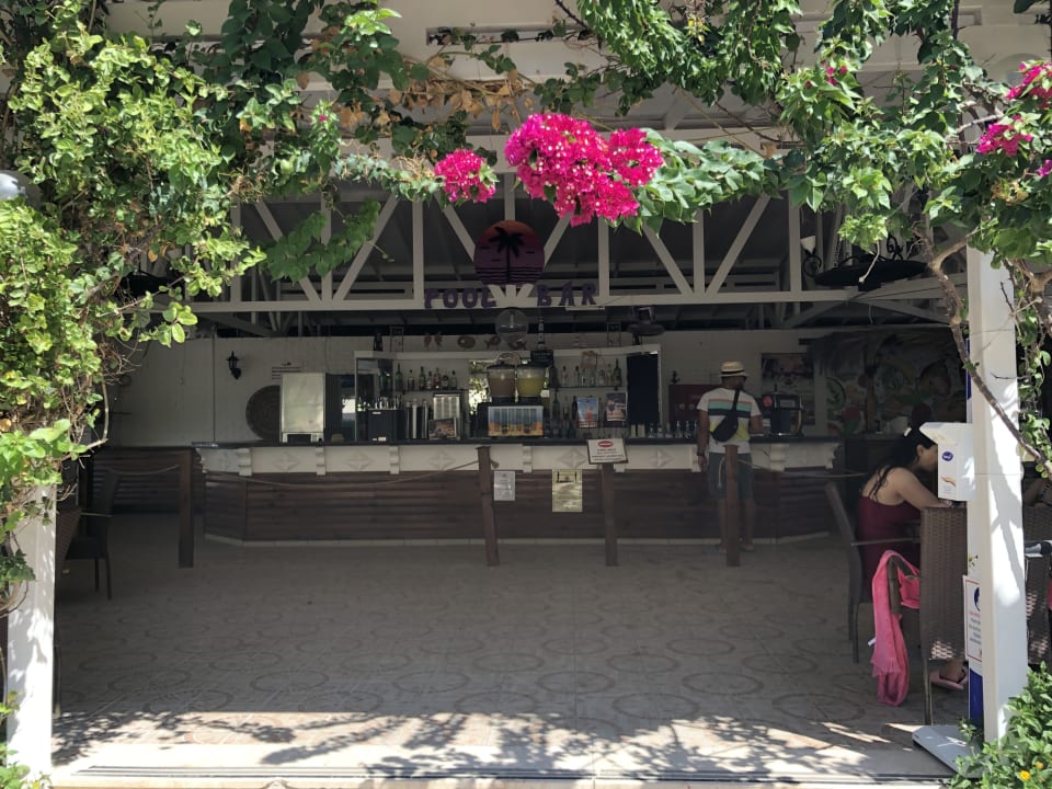 Gastro Club Turtas Beach Hotel