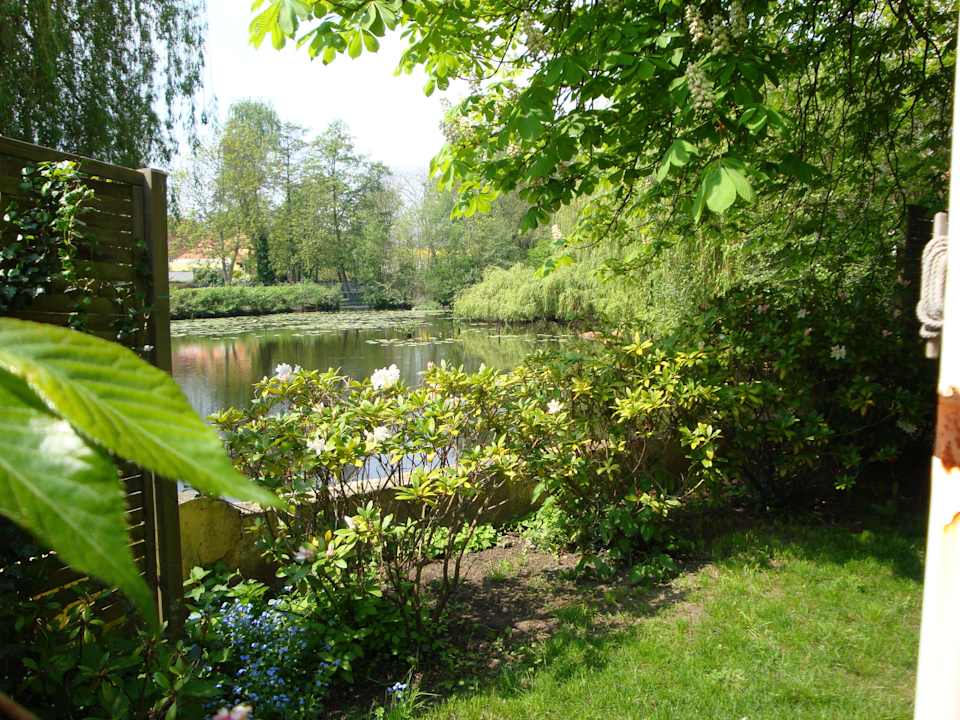 Lichtspiele am See Gästezimmer im schönen Elsaß