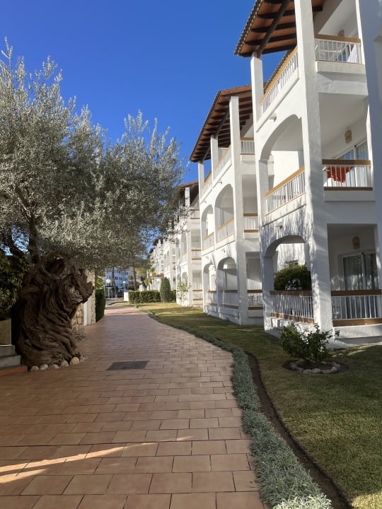 Außenansicht Alcudia Garden Aparthotel