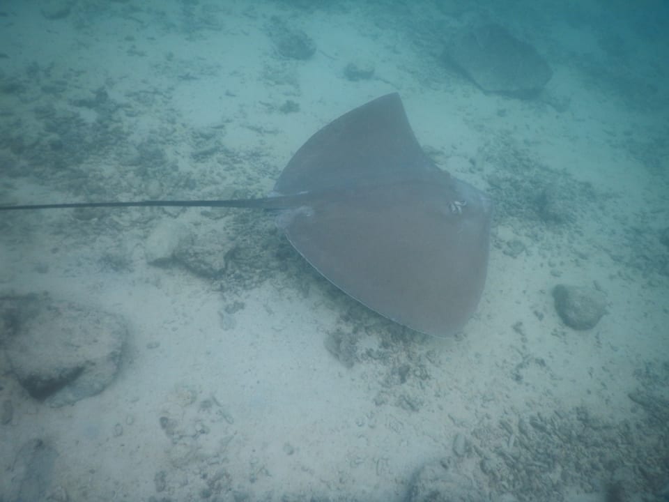 Sport & Freizeit Summer Island Maldives