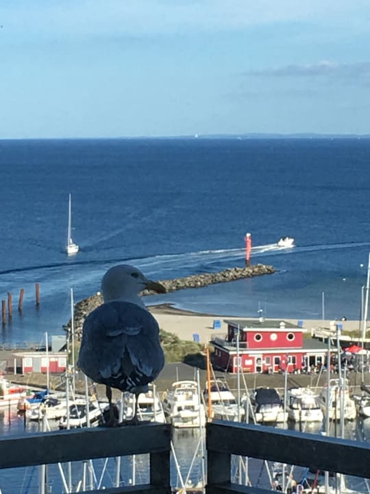 Ausblick Damp Ostsee Resort & Ferienpark
