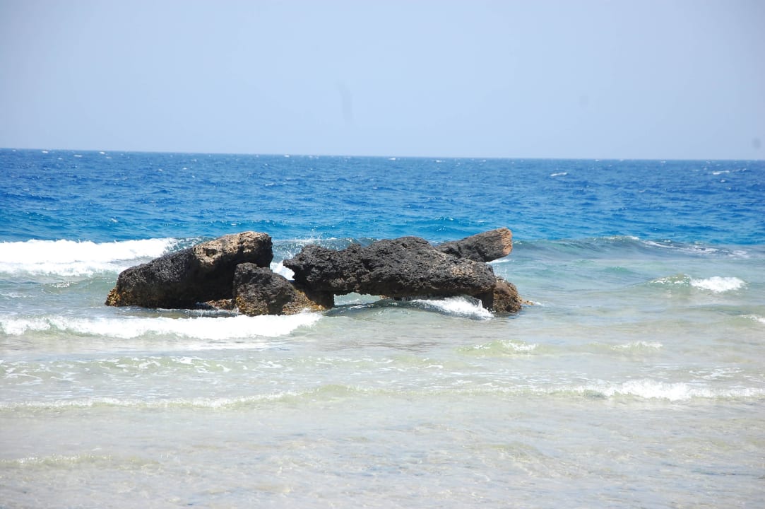 Meer Pickalbatros Citadel Resort