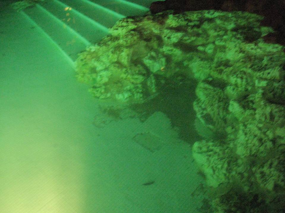 Neben Treppeneingang Grand Makadi