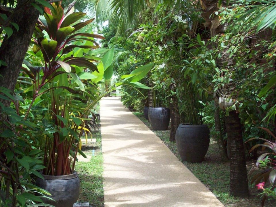 Wege in der Anlage Samui Paradise Chaweng Beach Resort & Spa