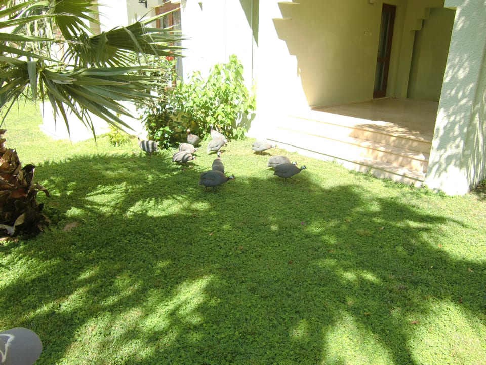 Überall sehr sauber VONRESORT Golden Beach