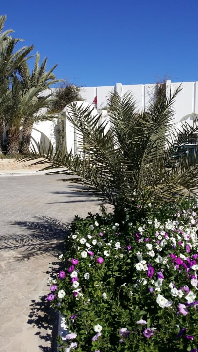 Blumen Hoteleinfahrt Hotel Seabel Rym Beach Djerba