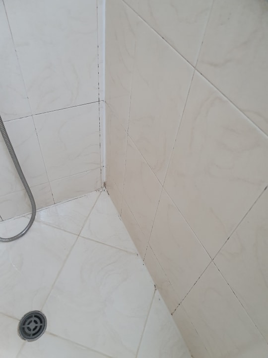 Zimmer Effect Grand Victoria Hotel