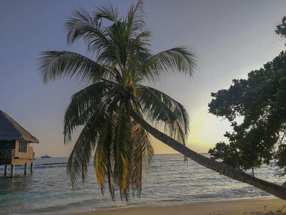 Strand Bandos Maldives