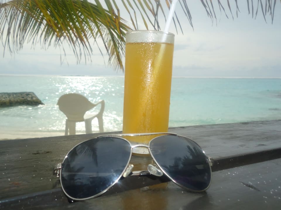 Lecker Lecker Summer Island Maldives