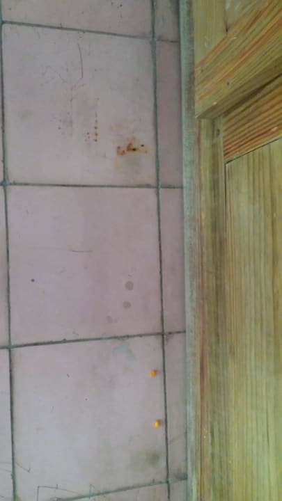 Gerade gereinigt... whala!boca chica