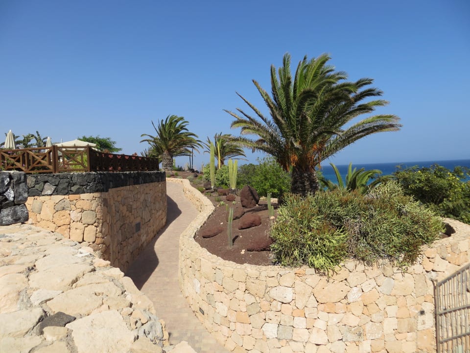 Sehr gepflegte Gartenanlage R2 Pajara Beach