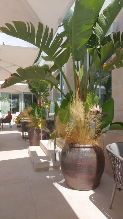 Sonstiges allsun Hotel Cormoran