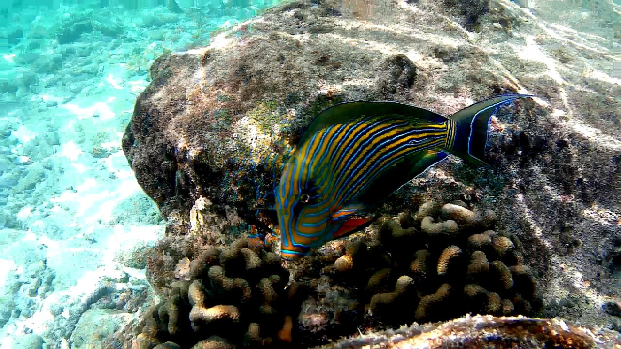 Sport & Freizeit Adaaran Select Hudhuran Fushi - Premium All Inclusive