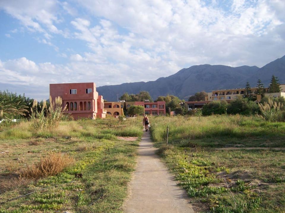 Weg zum Hotel vom Strand Orpheas Resort - Adults Only