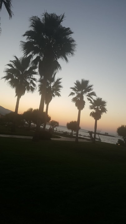 Gartenanlage Calimera Sirens Beach