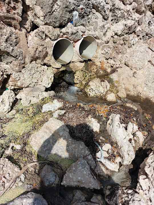 Strand Jaz Adonia Beach Resort