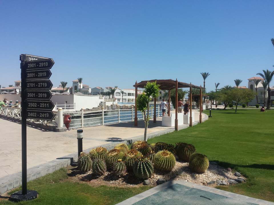 Vom Balkon  Pickalbatros Dana Beach Resort - Hurghada