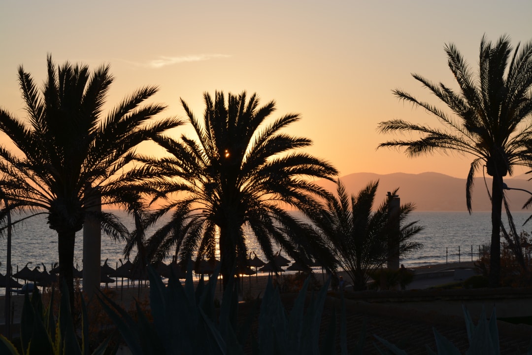 Strand Iberostar Selection Playa de Palma