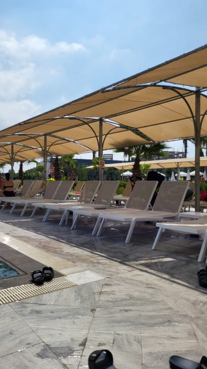 Pool Dream Water World