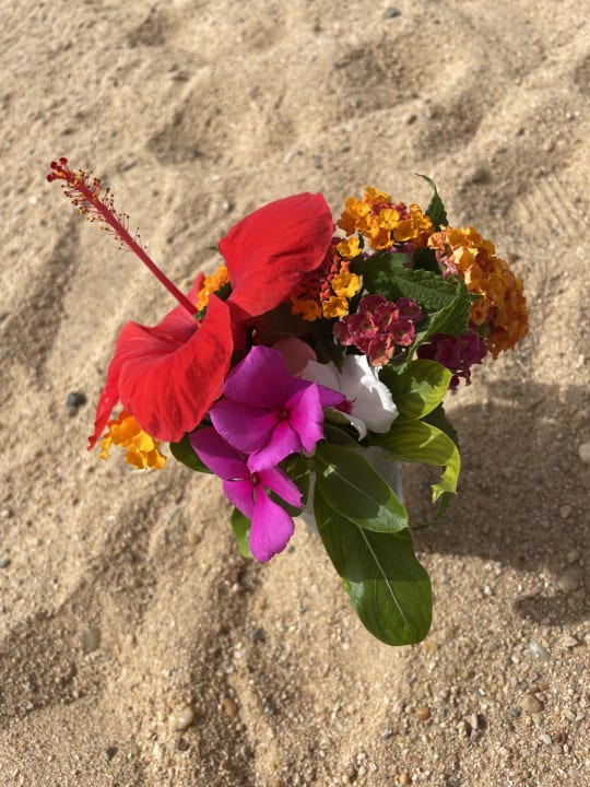 Sonstiges Amarina Abu Soma Resort & Aquapark