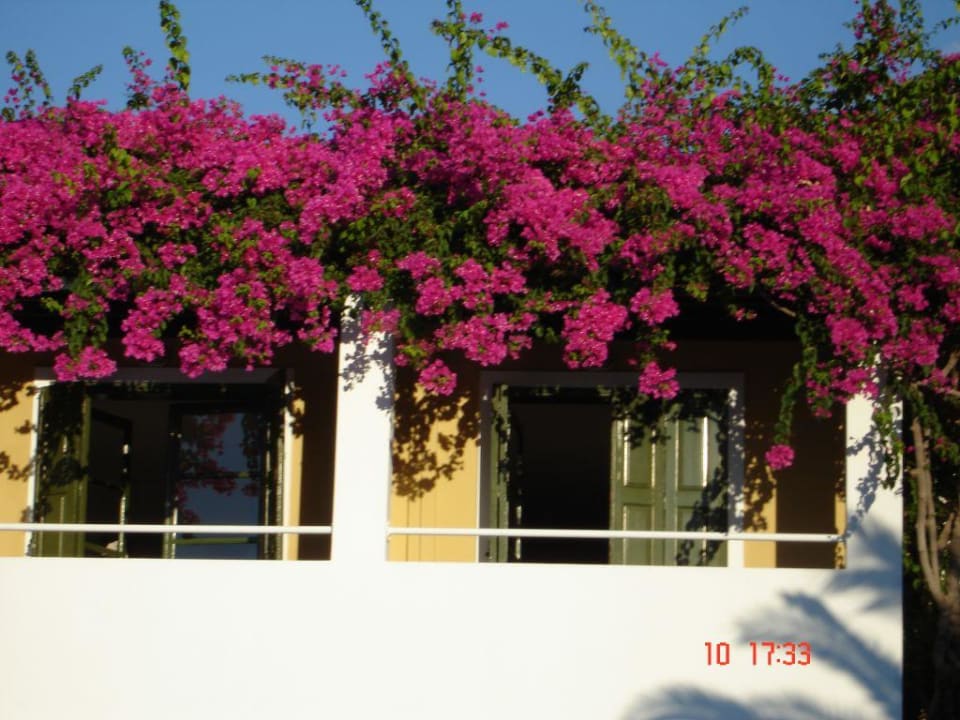 Wunderschön blühende Bougavillea Hotel Xidas Garden