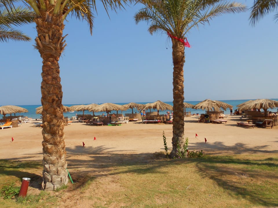 Traumstrand Sentido Caribbean World Soma Bay