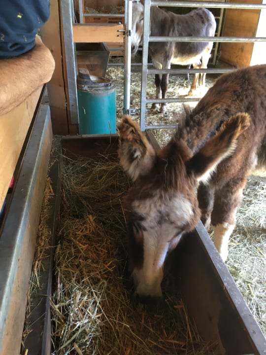 Sonstiges Hotel Blasiwirt