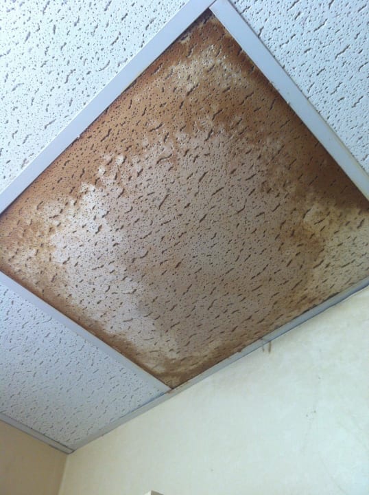 Grosser Waserfleck an Schlafzimmerdecke City Rooms Nyc Times Square