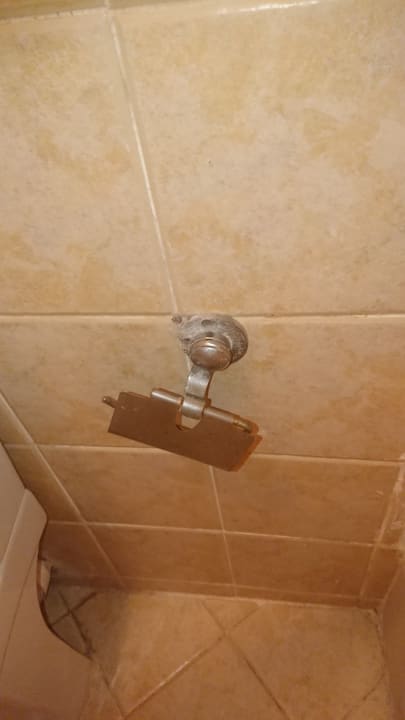 Zimmer Ghazala Gardens