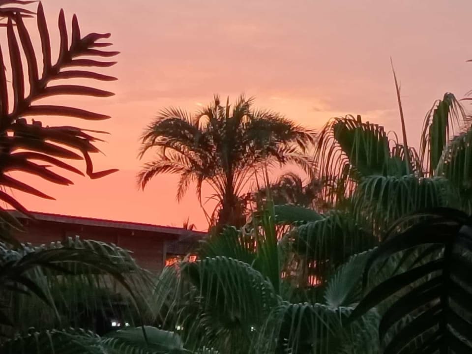 Ausblick MC Arancia Resort