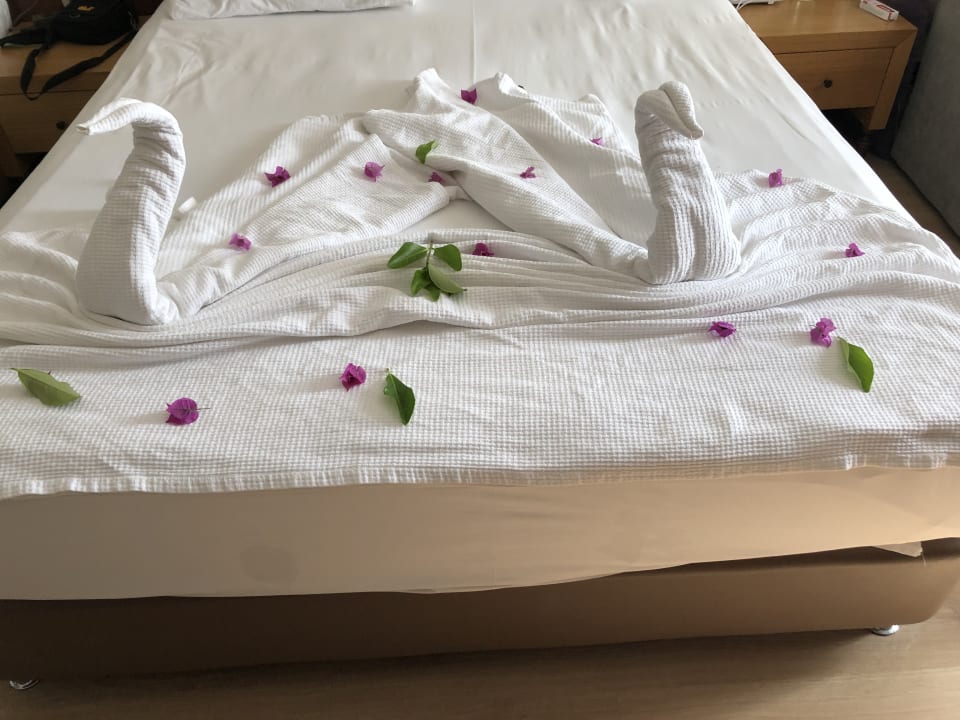 Zimmer Dream World Aqua Hotel