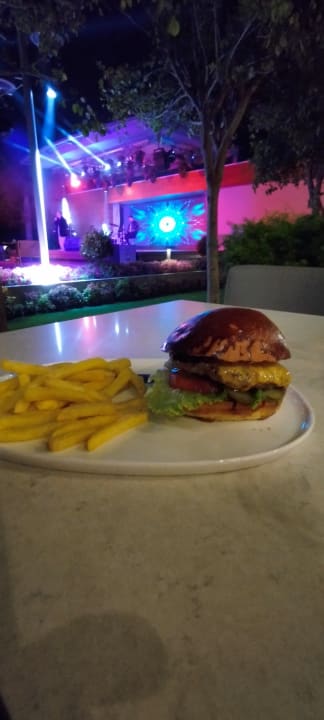 Gastro Acanthus Cennet Barut Collection