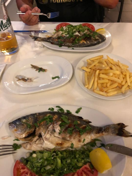 Gastro Hotel Dionysos