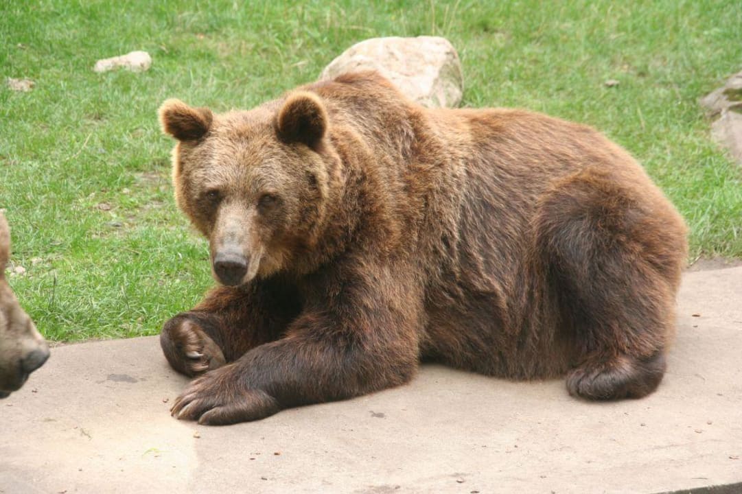 Hotel " Kleine Residenz am Tierpark" Hotel Kleine Residenz am Tierpark