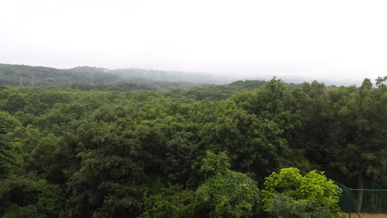 Blick vom Balkon 4.OG HVD Viva Club Hotel