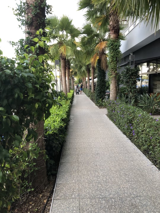 Gartenanlage Numa Bay Exclusive Hotel