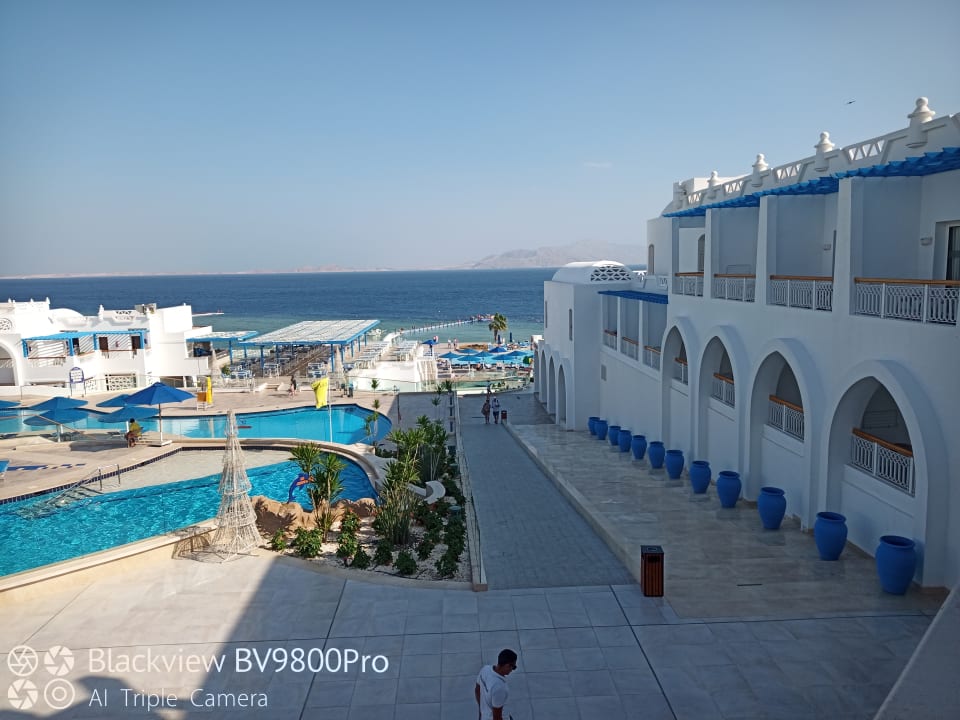 Ausblick Pickalbatros Palace Resort