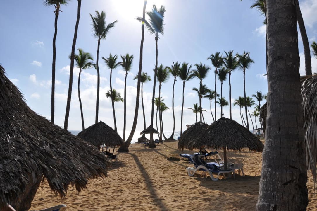 Strand morgens Grand Sirenis Punta Cana Resort & Aquagames