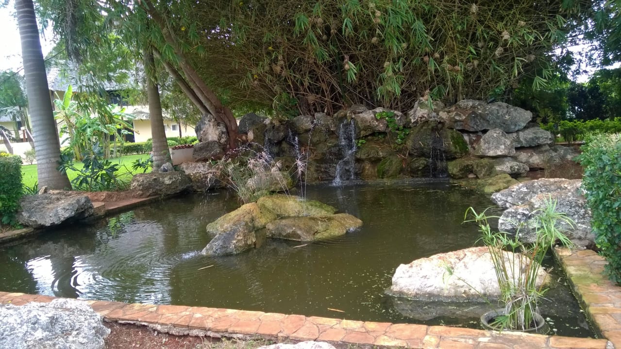 Aussen TUI Blue Bahari Zanzibar