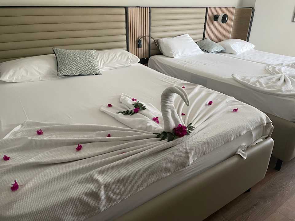 Zimmer Belek Beach Resort Hotel